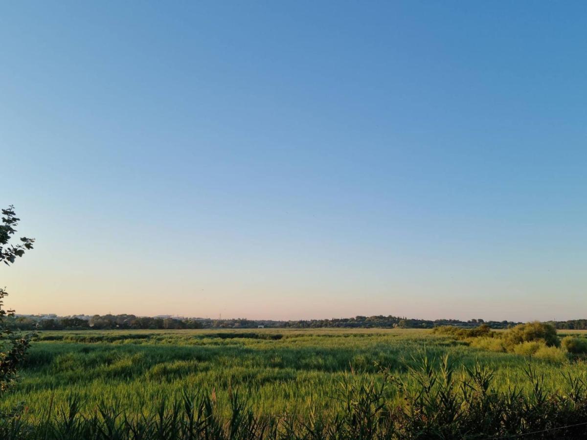 Gites De L'Estagnol 马格隆新城 外观 照片